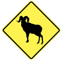 Bighorn Sheep Crossing Sign road sign — Bighorn sheep crossing warning